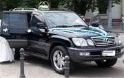 Комплект украшений на свадебный автомобиль